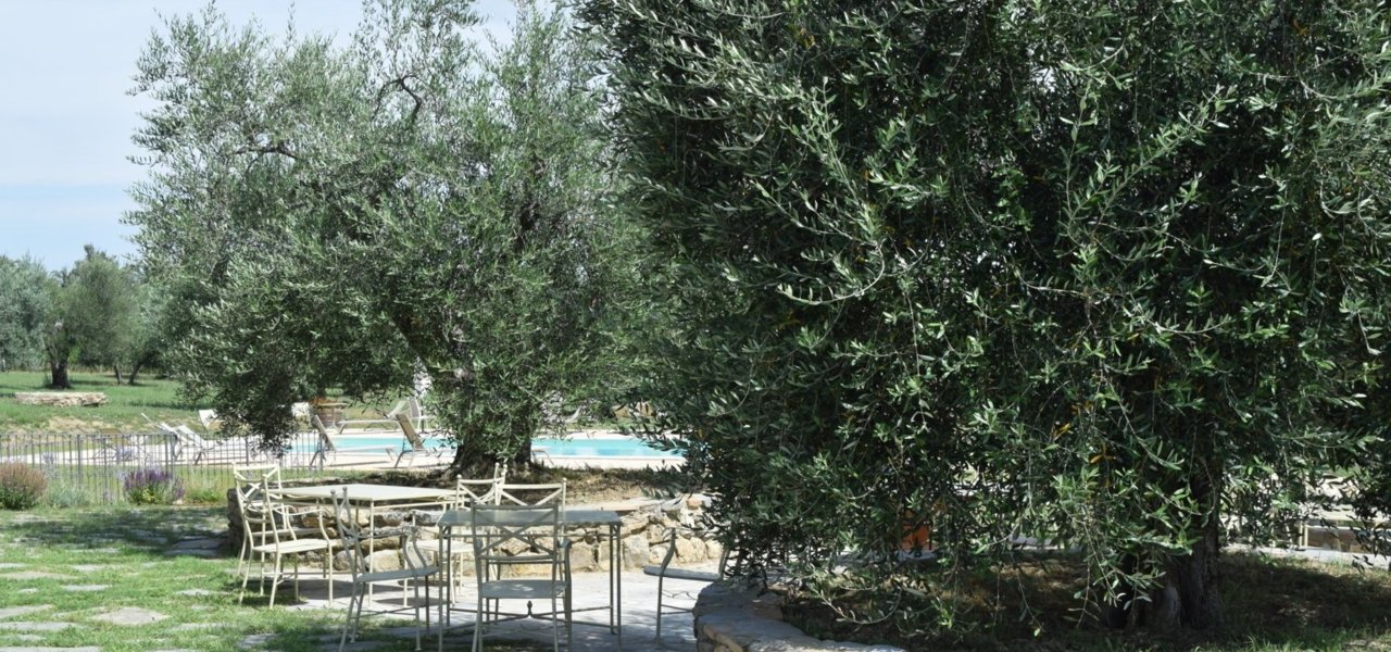 Sitting in the garden